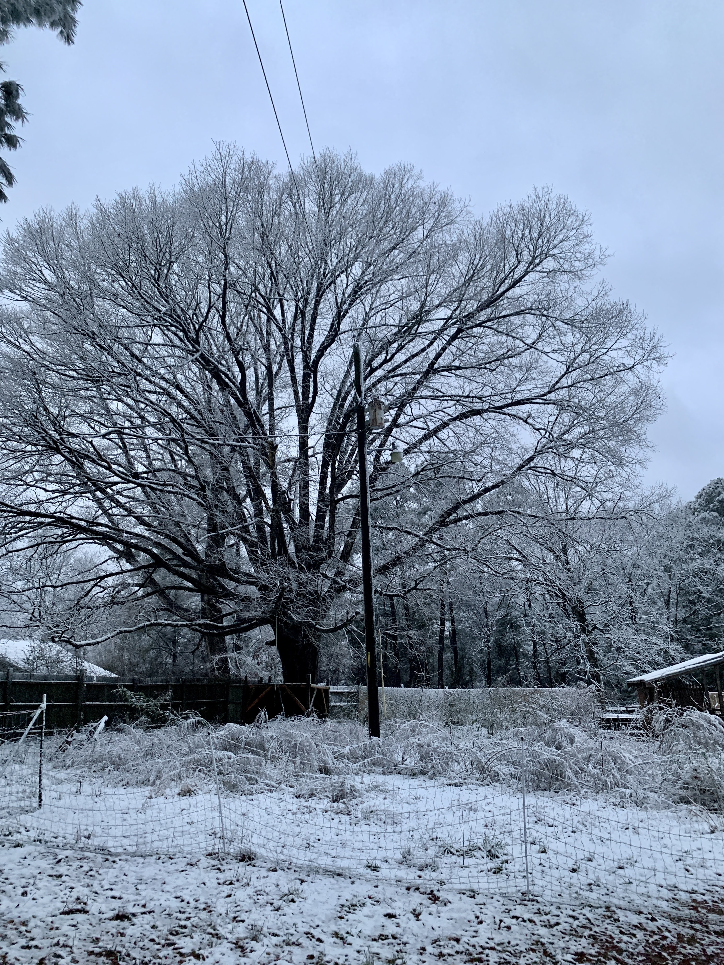 Snow Day